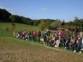 Zufallsbild